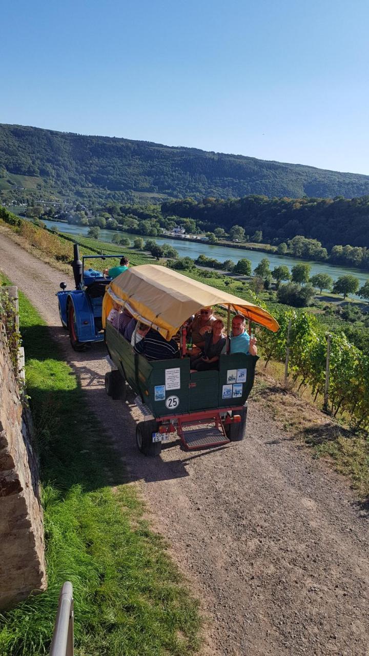 Weingut Erich Serwazi Mesenich Zewnętrze zdjęcie