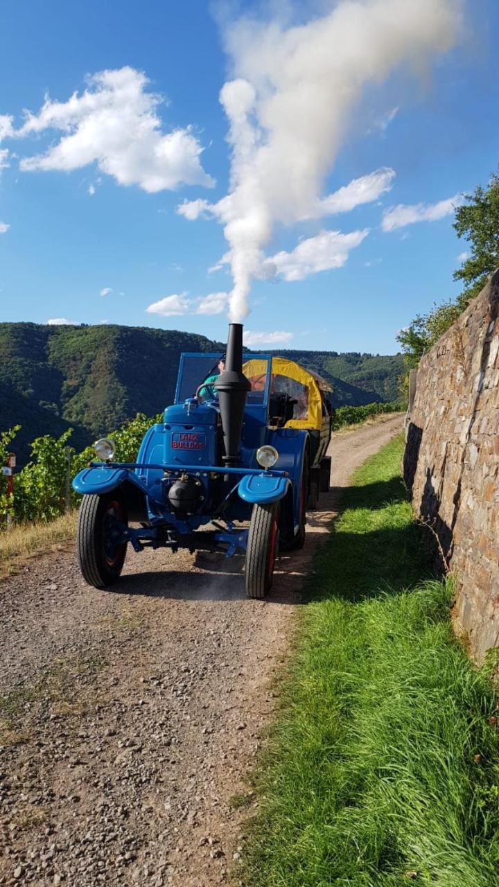 Weingut Erich Serwazi Mesenich Zewnętrze zdjęcie